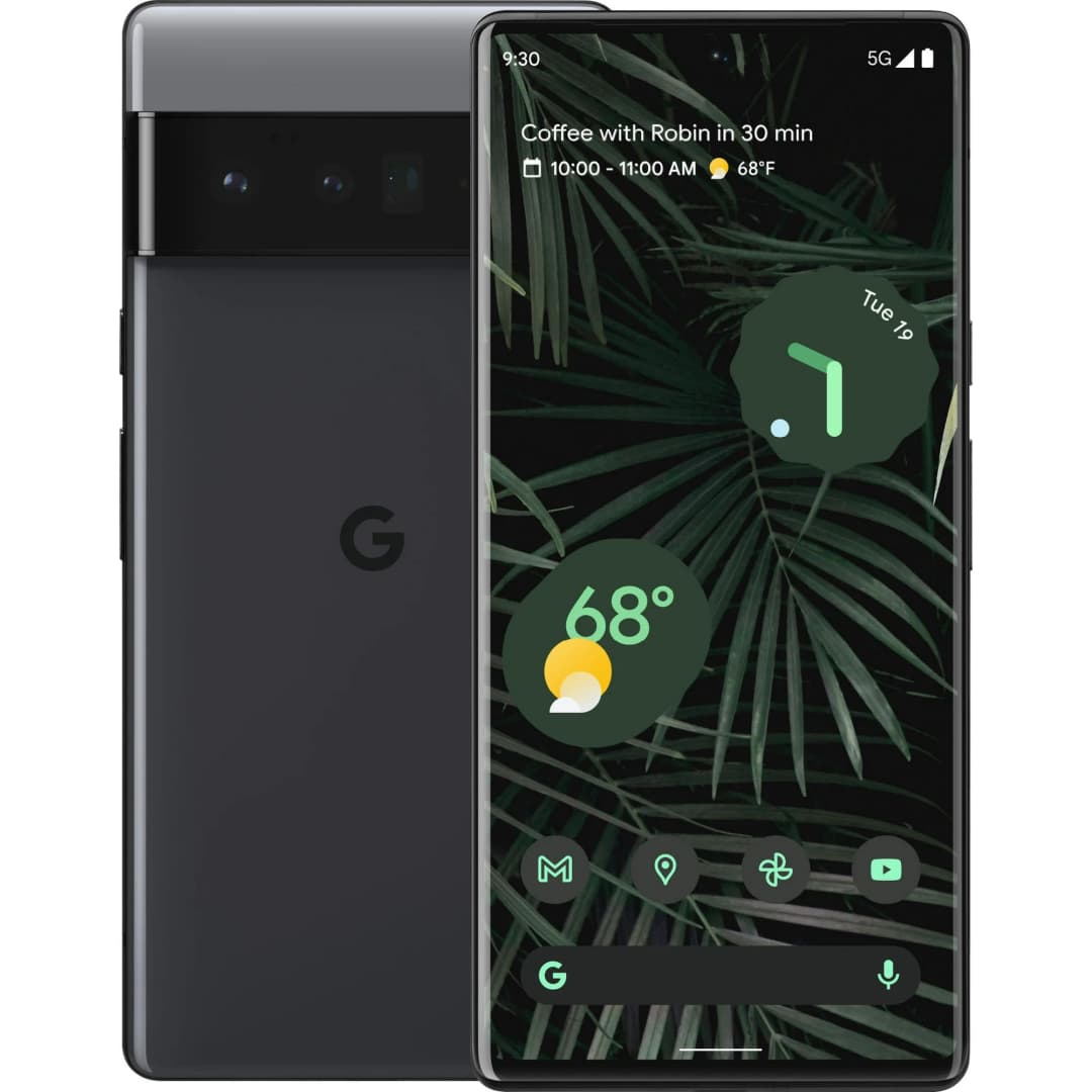 Pixel 6 Pro view 1